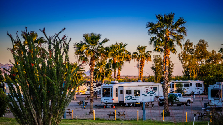 Experience Big City Comforts at This Family-Friendly RV Resort Hidden in Phoenix, Arizona