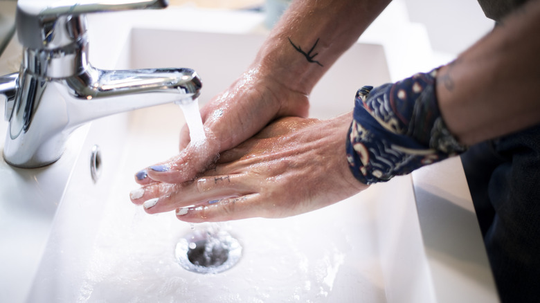 The Unique Feature of Dutch Sinks That American Tourists Will Definitely Notice When Washing Their Hands