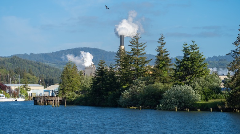 The "Sunny Little Secret" of the Foggy Oregon Coast: A Quaint City with a Charming Downtown Art Scene