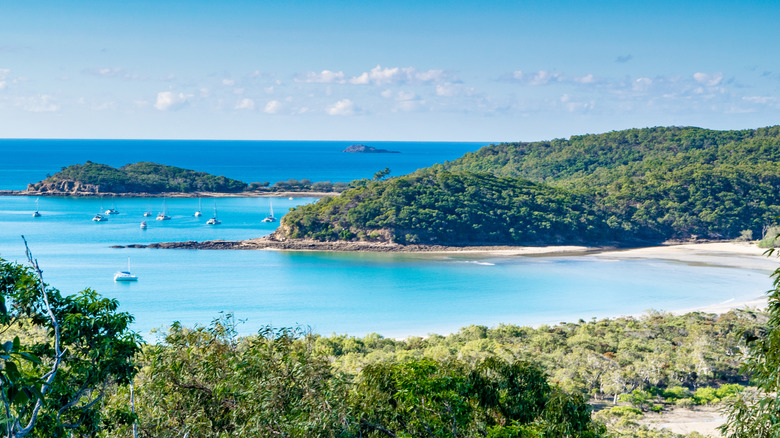 Avoid Australia's Overcrowded Islands: Discover This Hidden Gem in the Great Barrier Reef Archipelago