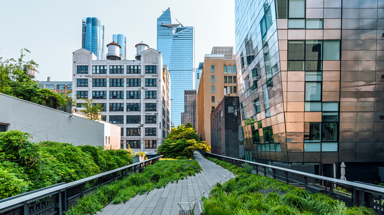 The New York Waterfront Neighborhood: An Engineering Marvel Adorned with Art and Diverse Dining Options