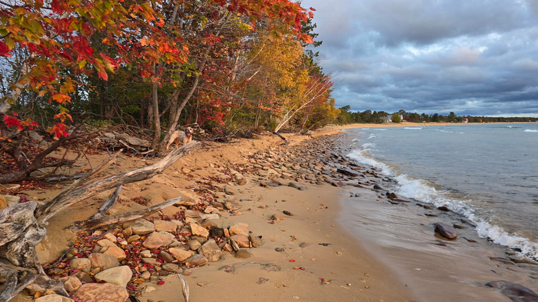 Experience a One-of-a-Kind Michigan Cabin Stay with Northern Lights Views and Rustic Charm by Lake Superior's Shore