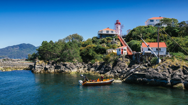 Vancouver's 'Wild West Coast': An Adventurer's Paradise with Diving, Surfing, Trails, and Rainforests