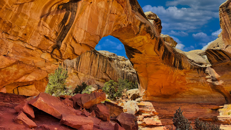 A Quiet Utah Town: Your Charming Gateway to Capitol Reef National Park Adventures