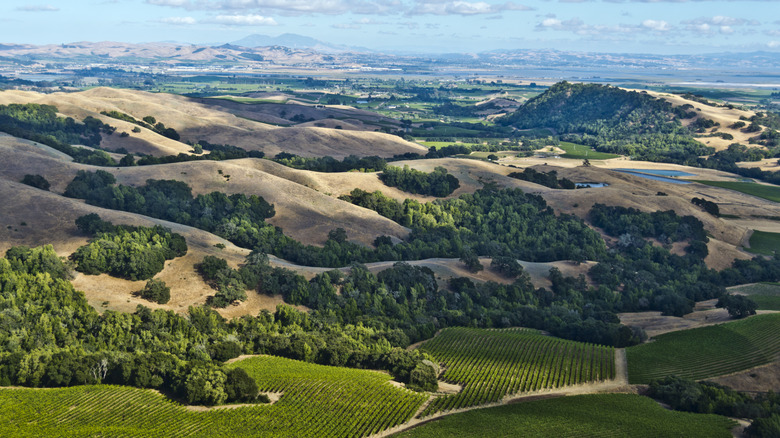 A Serene Sonoma Hotel Features In-Room Fireplaces, Vineyard Strolls, and Rooftop Wine Tastings