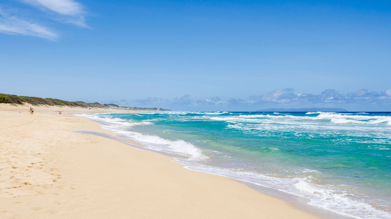 Kauai State Park Boasts Hawaii's Longest Unbroken Sandy Beach