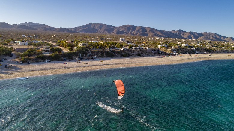 This Charming Baja Beach Town is a Hidden Gem for Marine Life Enthusiasts