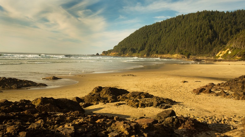 Explore the Oregon Beach Featuring a Hidden Sea Cave, Tide Pools, and Whale Watching Opportunities