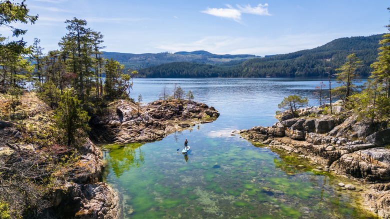 Explore the Majestic Coastal District of British Columbia: A Haven for Arts, Mountains, Beaches, and Endless Adventures