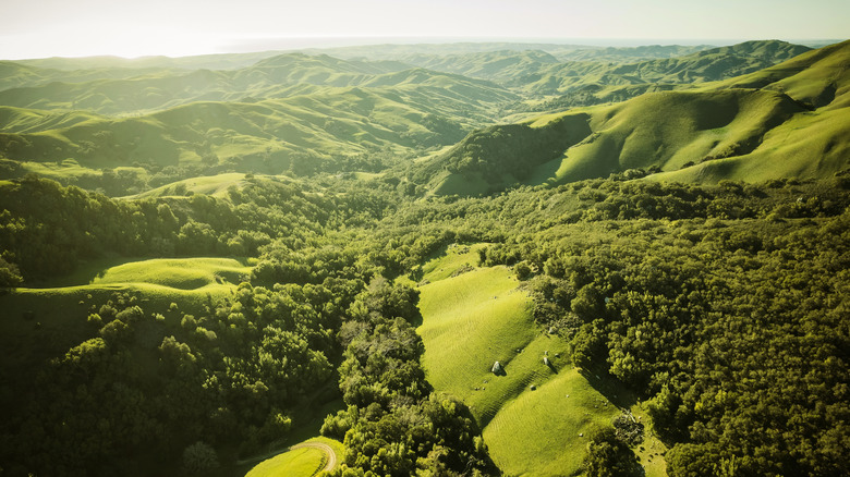 Experience Ocean Views, Rolling Hills, and Award-Winning Pinot in California's Untamed Wine Region