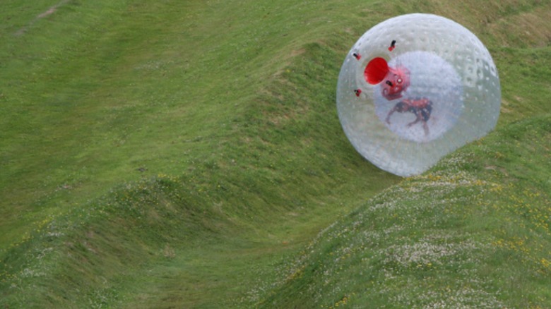 Tennessee's Unique Zorbing Park Offers a Thrilling, Gravity-Defying Adventure for All Ages in the USA