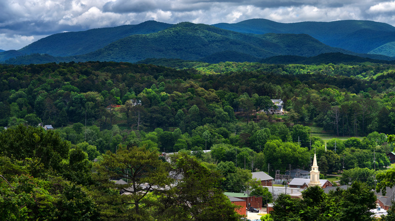 Discover Rustic Charm in One of Georgia's Top Mountain Cities: Stunning Scenery, Wine, and Waterfalls Await