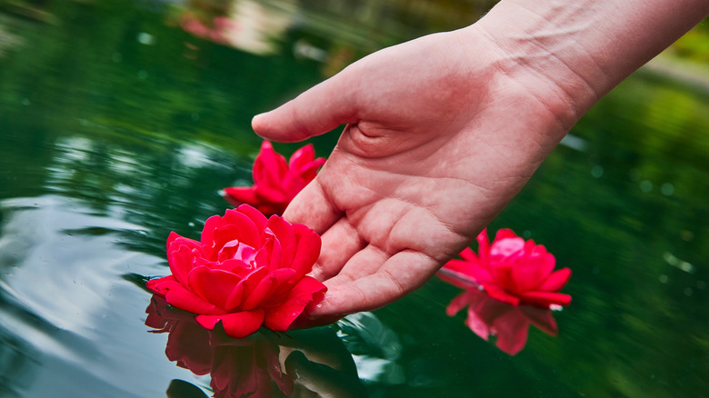 Indiana's Sunken Garden Oasis Features Stone Bridges, Koi Ponds, and a Fairy Tale Backdrop