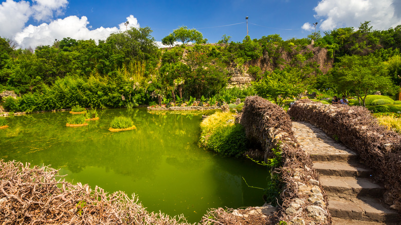 A Renowned Texas Garden Offers a Lush Escape with Diverse Botanicals and Scenic Trails