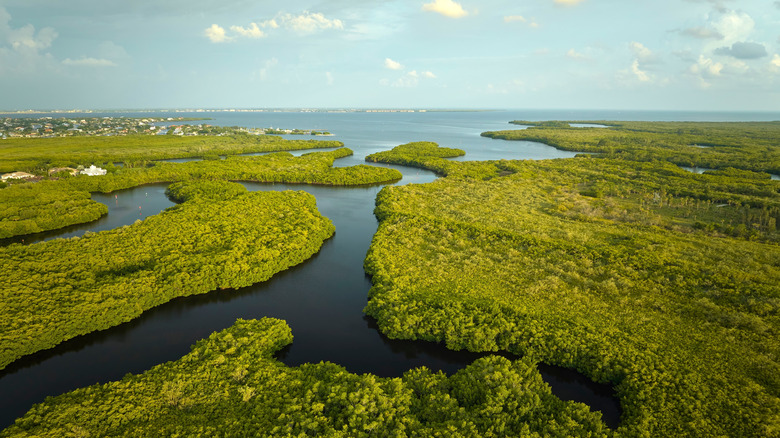 The One-of-a-Kind Over-Water Camping Adventure Exclusive to Florida's Everglades