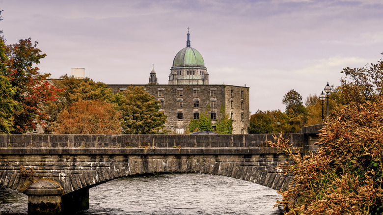 Escape the Crowds in an Affordable Irish Coastal City Known for Arts and Festivals