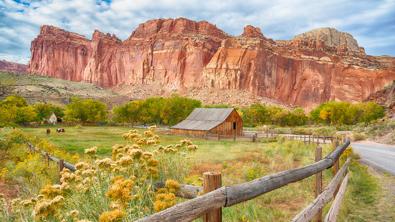 Tucked Away in Utah's Capitol Reef National Park Lies a Charming Homestead Famous for Fresh Pies and Stunning Canyon Views