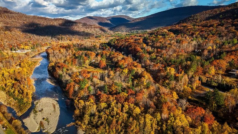 Discover a Tranquil Retreat in New York's Catskills: Cozy Cabins, Fresh Mountain Air, and Peaceful Swimming Spots