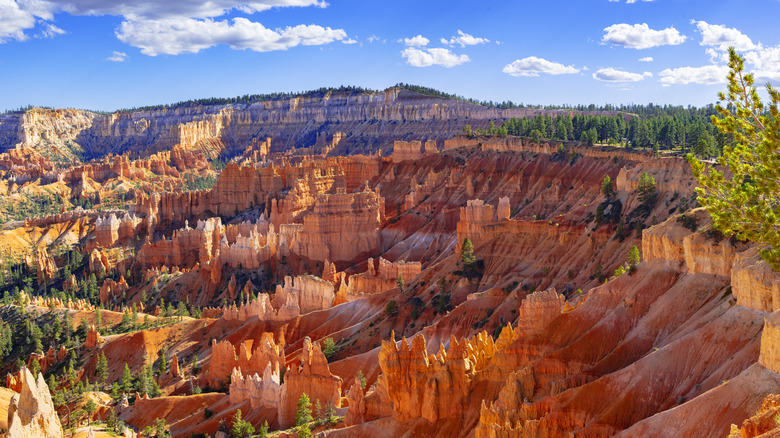 Affordable Rustic Lodge Located Just Outside Bryce Canyon National Park Entrance