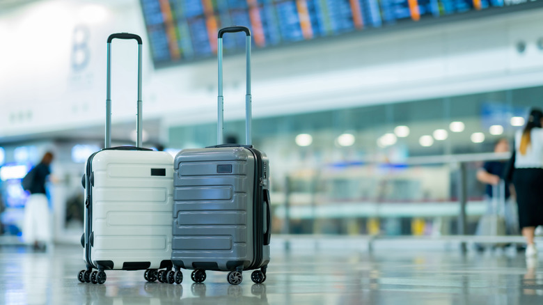 You're Not Alone: The Most Commonly Lost Items at Airports