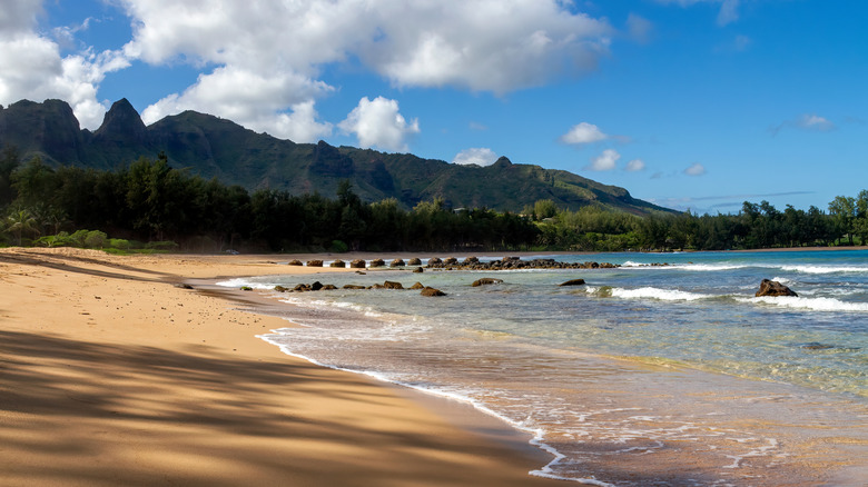 Discover Serenity at a Secluded Kauai Beach Park: An Uncrowded Escape to Crystal Clear Waters