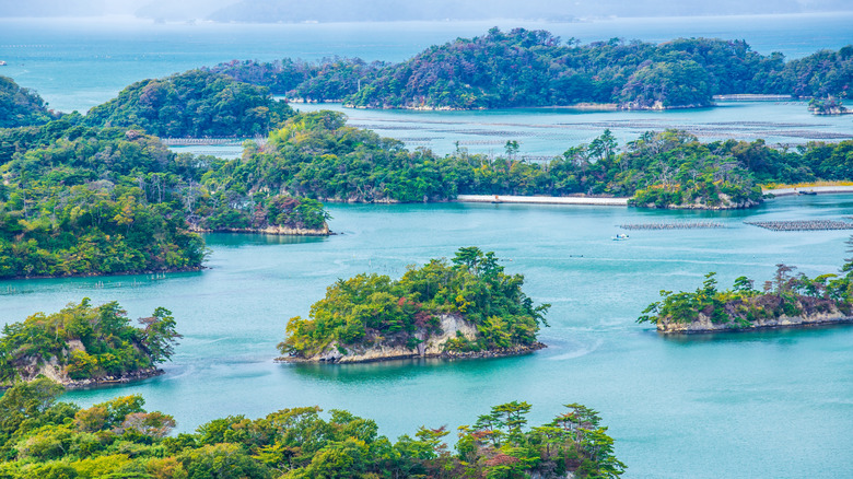 A Stunning Bay with Iconic Pine-Covered Islands: One of Japan's 'Three Great Views'