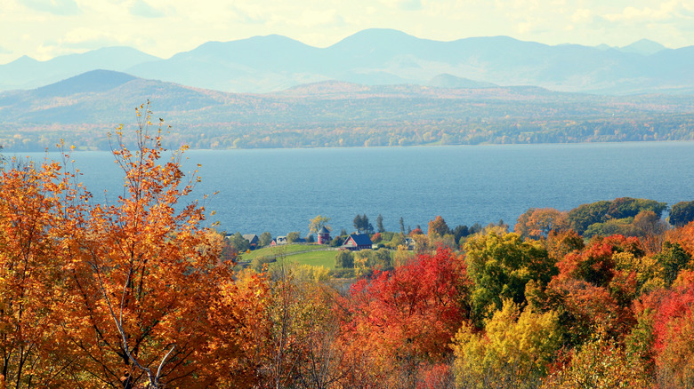 New York's 'Gateway to the Adirondacks' on Lake Champlain's Shores: A Charming Outdoor Destination