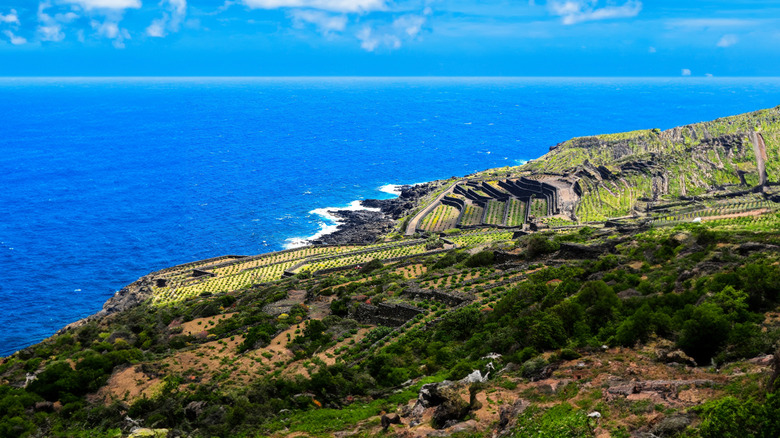 Nestled Between Europe and Africa Lies a Hidden Italian Mediterranean Island with Endless Blue Waters