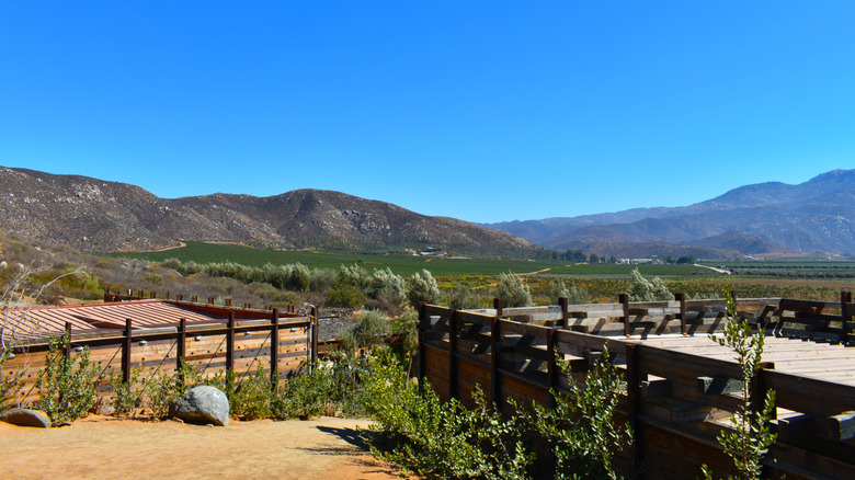 Baja California's Famous Wine Region in Mexico Offers Exceptional Tastings and Tours