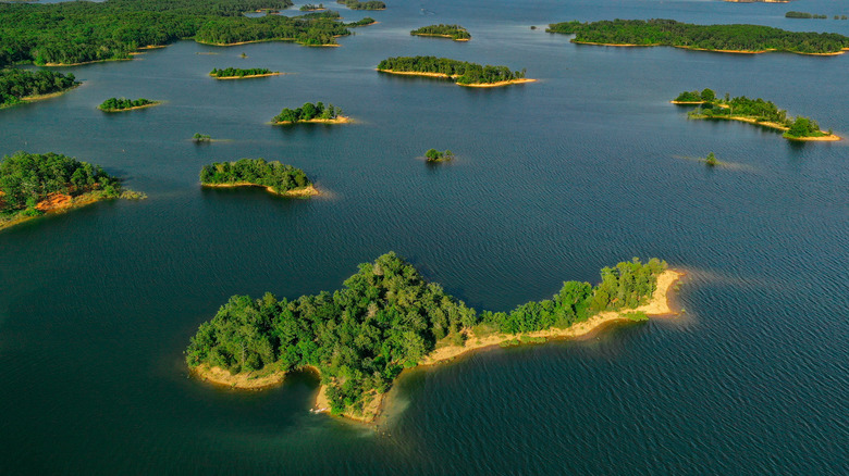 Explore Arkansas' Largest Lake: Crystal Clear Waters and Scenic Hikes Await