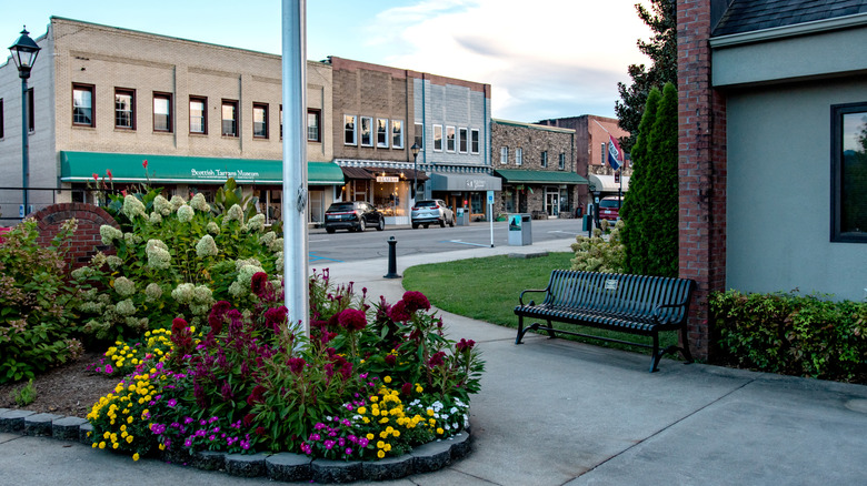 Nestled in the Blue Ridge Mountains: Discover a Timeless North Carolina Town with a Rich History