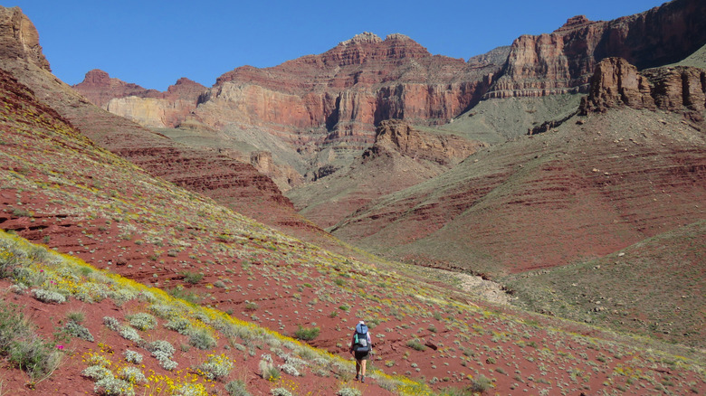 Discover Solitude on This Beautiful, Lesser-Known Backcountry Route in the Grand Canyon