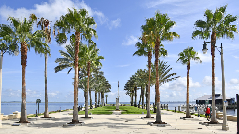 Discover Central Florida’s Hidden Gem: A Lake Town with Breweries, Trails, and a Charming Brick-Paved Downtown
