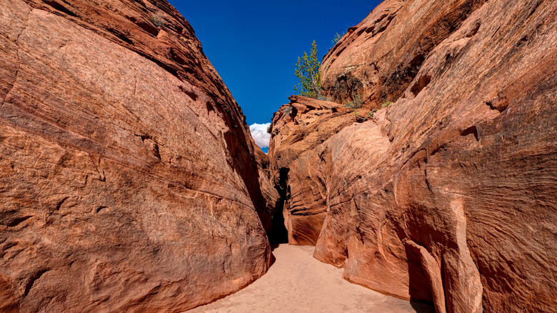 Explore These Twin Canyons in Utah: A Dynamic Duo of Scenic Cliffs, Red Rocks, and Adventure