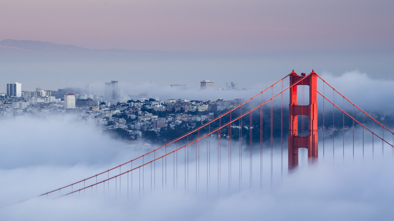 Essential Tips for Tourists: Navigating San Francisco's Infamous Microclimates