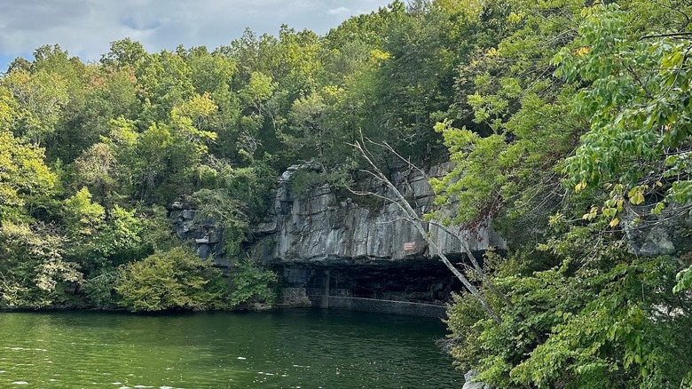 Discover the Enchanted Cave: A Unforgettable Kayaking Adventure and Wildlife Experience on the Tennessee River