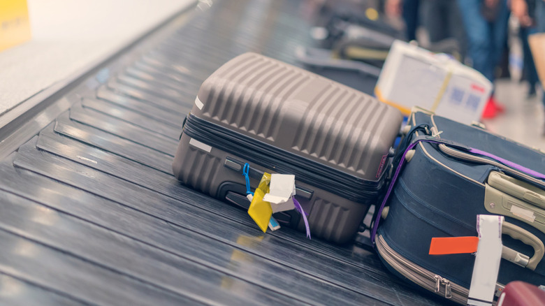 Why Finding a Zip Tie on Your Luggage is a Red Flag