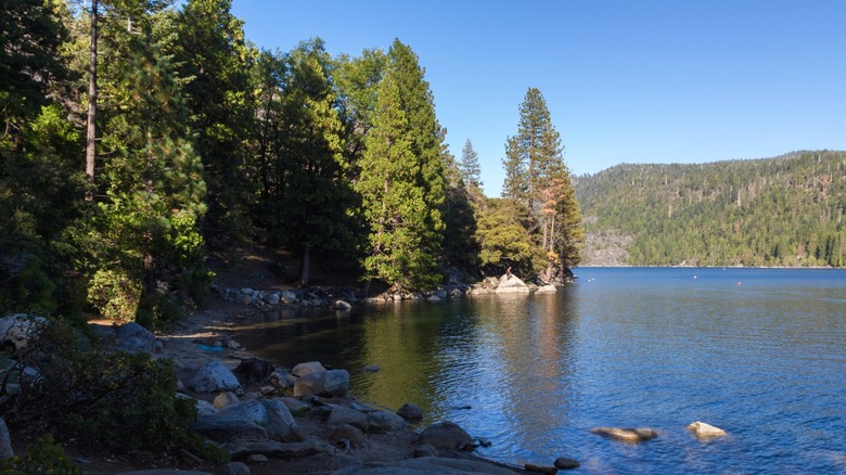 This Hidden Gem in California's Stanislaus National Forest Rivals Lake Tahoe