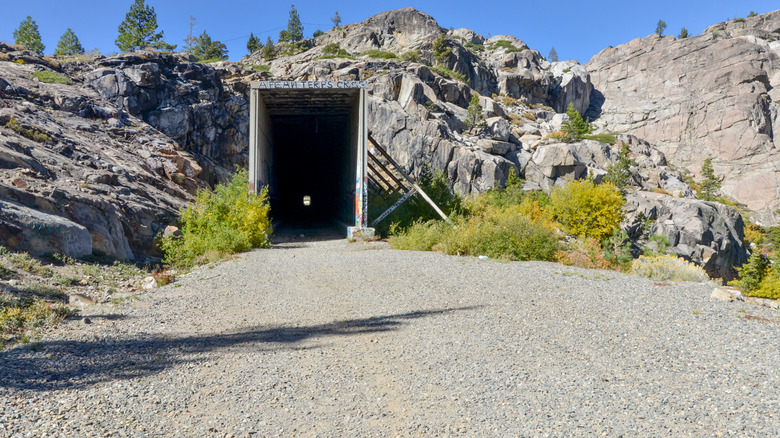 Exploring Abandoned Train Tunnels Near Lake Tahoe: A Journey Through a Graffiti Art Gallery