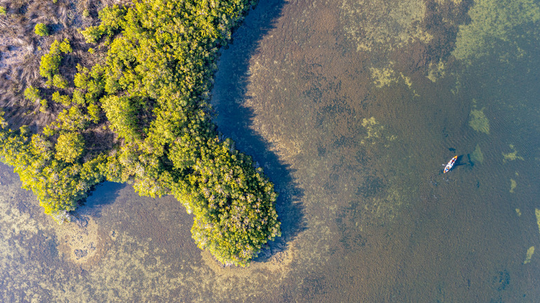 Discover Florida's Hidden Gem: A Maze of Gulf Coast Islands Offering Fresh Seafood and Crystal Clear Waters