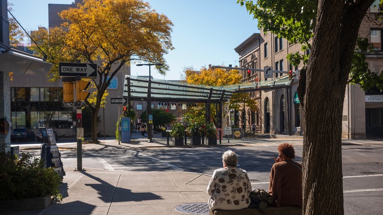 A Vibrant and Artsy College City in New York's Finger Lakes Region Boasts Stunning State Parks
