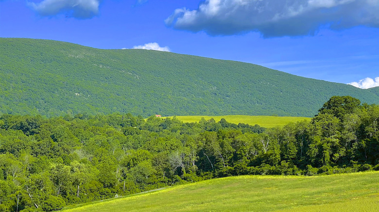 Escape the Crowds: Discover This Hidden Gem of a Mountain Range in the Northeast with Adirondack Charm