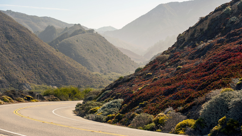 California's 'Mini Yosemite': A Stunning State Park with Ancient Redwoods and Picturesque Swimming Areas