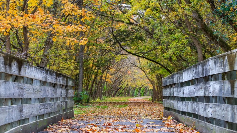 Discover the Allure of This Underrated Ohio City with Scenic Hidden Trails and a Vibrant Main Square