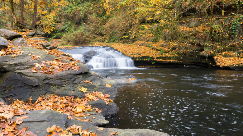 A Stunning Oregon Lake Featuring Mountain Vistas and Cascading Falls with an Exciting Water Slide