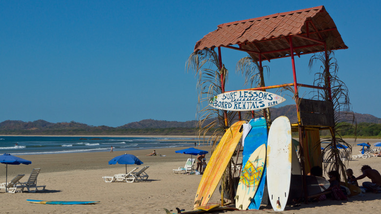 Costa Rica's Vibrant Coastal Town: A Paradise for Surfing and Diverse Wildlife