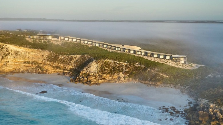 A Top-Ranked Hotel: Luxurious Australian Island Retreat with Acclaimed Dining and Wildlife Experiences