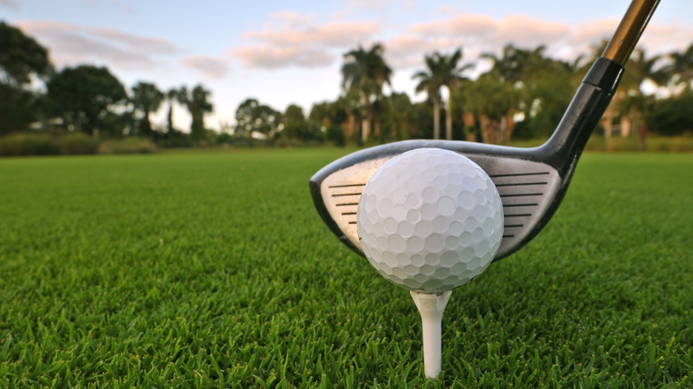 Florida's Top Public Golf Course with British Charm Nestled Between Orlando and Tampa