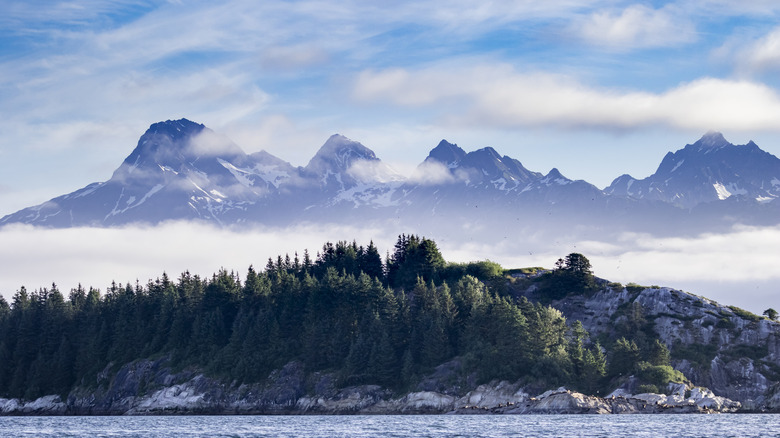 Alaska's 'Gateway to Glacier Bay': A Charming and Quirky City with Art Galleries and Fresh Seafood