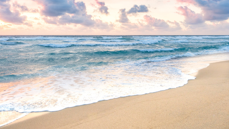 Nestled Between Jacksonville and Daytona Beach: Florida's Picturesque Town with Pristine Beaches